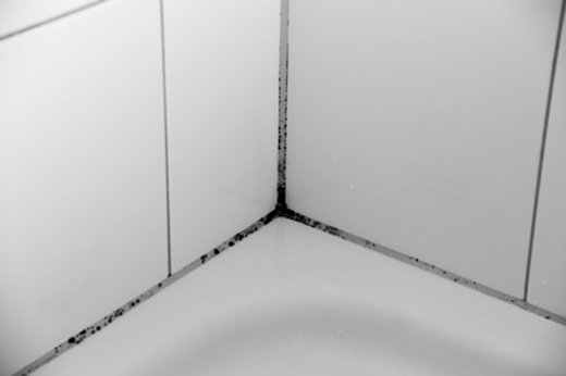 Fugensanierung in einem Badezimmer: alte, schimmlige Fugen werden entfernt und neu verfugt
